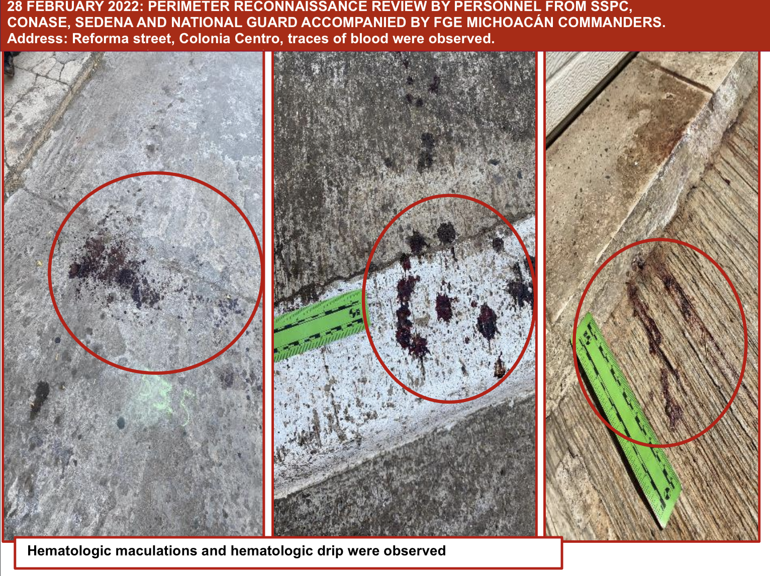 SSPC Chronology of shooting in San José de Gracia, Michoacán